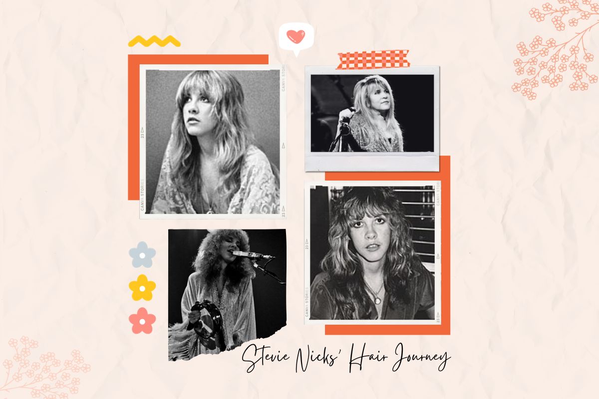 Stevie Nicks Hair Journey