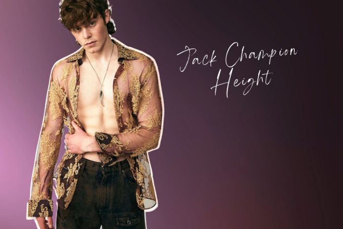 jack champion height