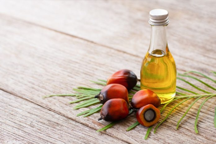 Palm Oil